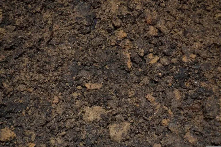 Unearthed: Scotts Lawn Soil vs. Topsoil – Which One’s Right for Your Garden?